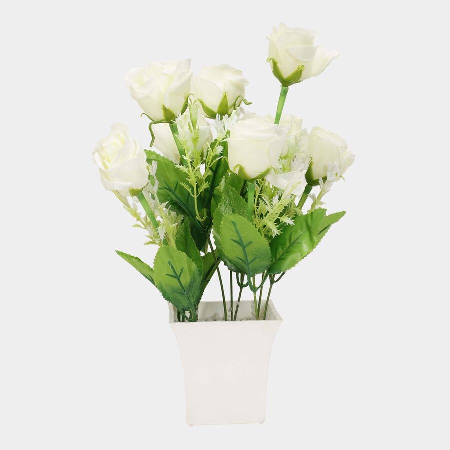 Decorative Plant, , large image number null