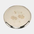 Stainless Steel Plate, , small image number null