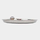 Stainless Steel Plate, , small image number null