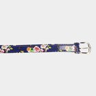Women's Multicolour Polyurethane Belt, , small image number null