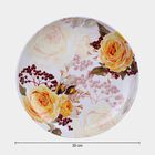 Melamine Full Plate, 30 cm Dia., , small image number null