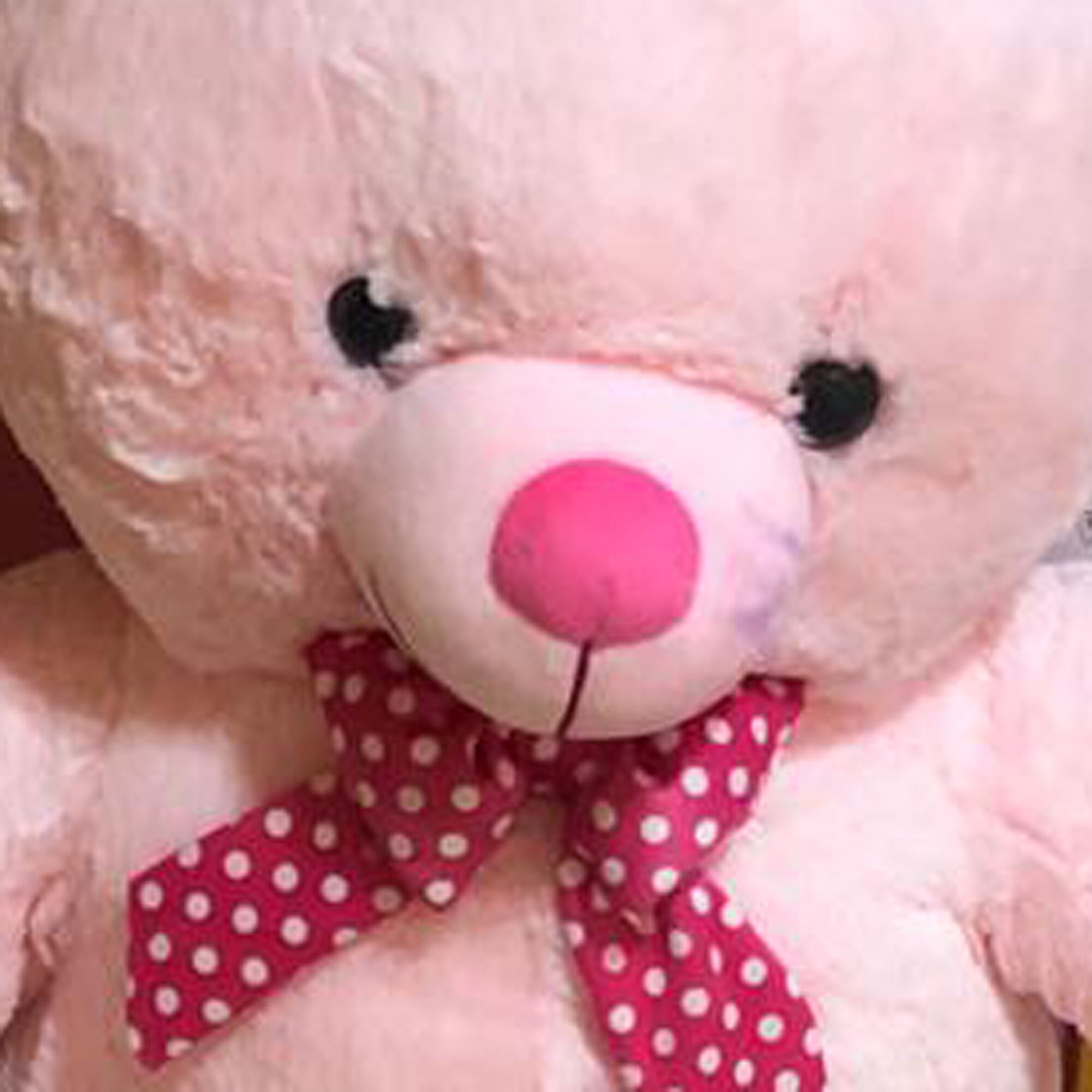 Mega teddy bear new arrivals