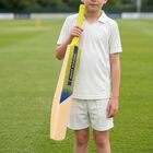 Kid's cricket bat, , small
