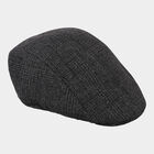 Mens Cap, , small image number null