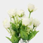 Decorative Plant, , small image number null