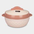 850ml Plastic & Steel Casserole, , small image number null