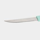 Steel Knife, , small image number null