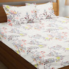 120 GSM White Polyester Double Bedsheet, , small image number null