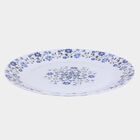 Melamine Full Plate, , small image number null