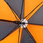 Kids Umbrella, , small