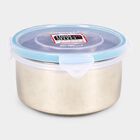 800 ml Air-Tight Steel Container, , small image number null