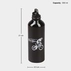 500 ml Stainless Steel Bottle, , small image number null