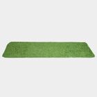 Green Polyester Carpet, , small image number null
