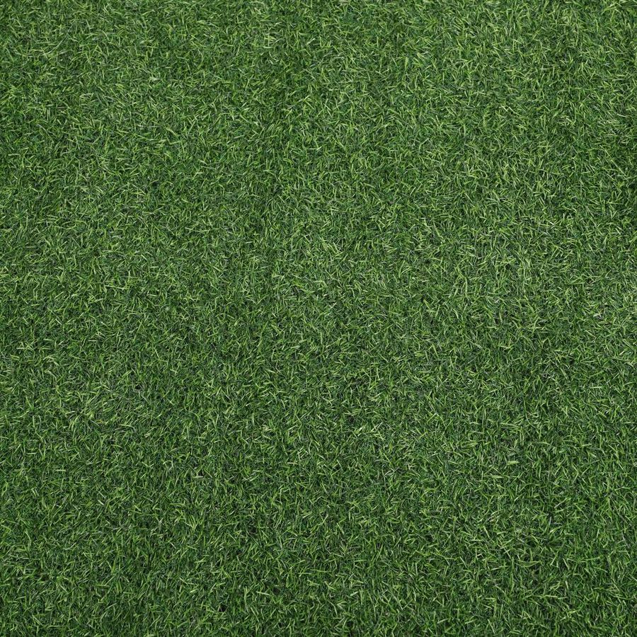 पॉलिएस्टर कालीन, , large