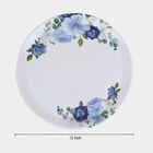 Melamine Full Plate, , small image number null