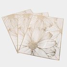 PVC Table Mat Set of 3, , small