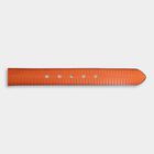 Men's Tan Polyurethane Formal Belt, , small image number null