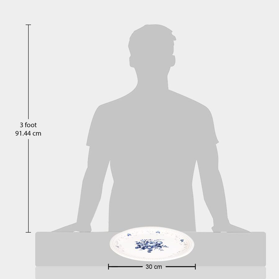 Melamine Full Plate, 26 cm Dia., , large image number null