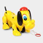 Pull Along Dog Toy, , small image number null