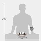 Stainless Steel Parat Plate - 31 cm, , small image number null