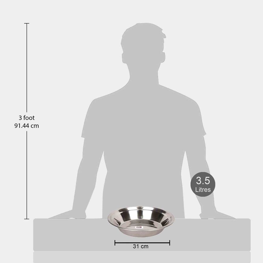 Stainless Steel Parat Plate - 31 cm, , large image number null