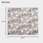 120 GSM कॉटन डबल बेडशीट 2 तकिये के कवर के साथ, , small image number null