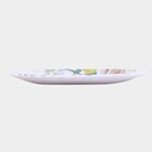 Melamine Full Plate, , small