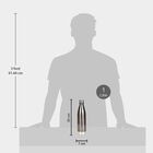 1 L Stainless Steel Bottle, , small image number null