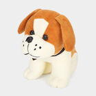 Kid's Multicolour Puppy Teddy, , small
