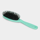 Plastic Hair Comb Set of 6, , small image number null