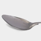 Stainless Steel Serving Spoon With Plastic Handle, , small image number null