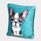 Teal Microfiber Cushion, , small image number null