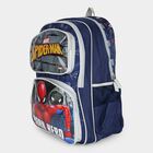 Kid's Spiderman School Bag, , small