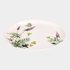 Melamine Full Plate, 30 X 30 cm, , small image number null