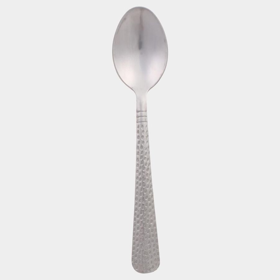 Stainless Steel Spoon Set of 6, , large image number null