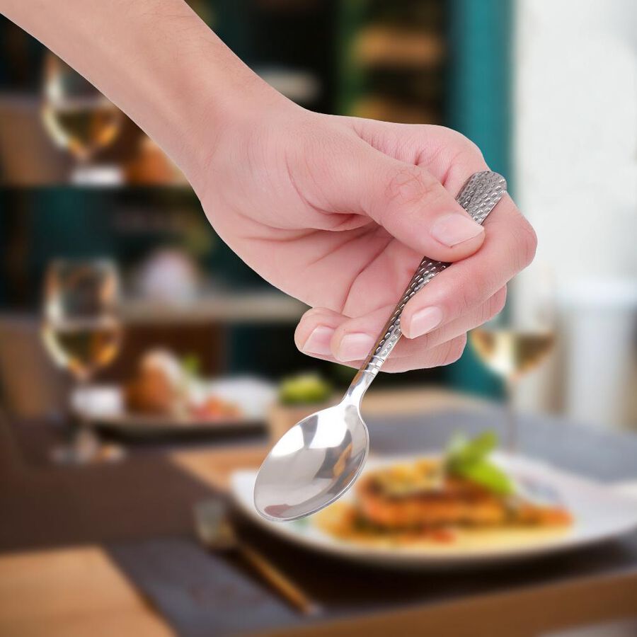 Stainless Steel Spoon Set of 6, , large image number null
