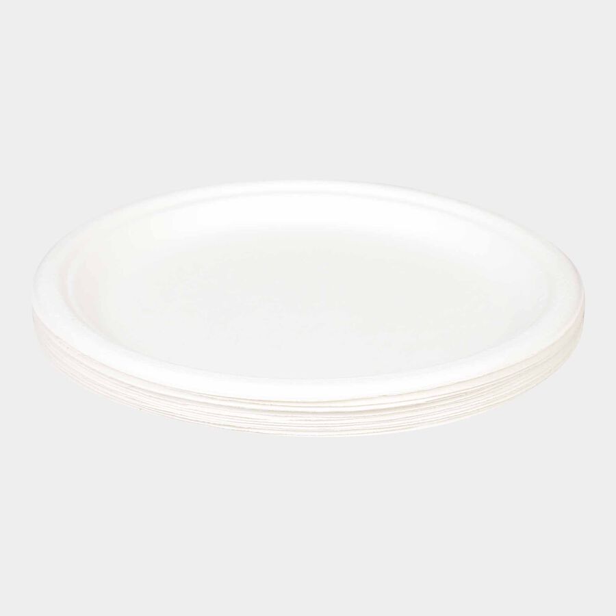 Disposable Full Plate 12Pcs., , large image number null