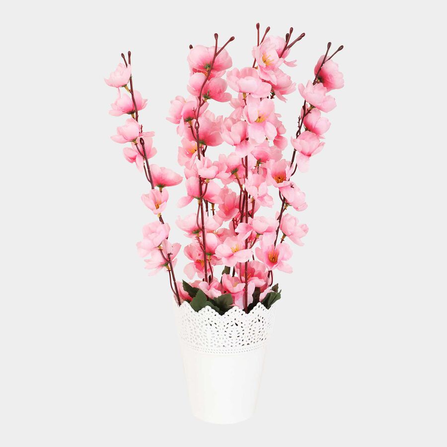 Decorative Plant, , large image number null