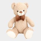 Brown Soft Teddy, , small image number null