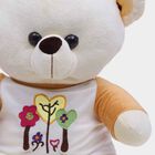 Medium Off White Teddy Bear, , small image number null