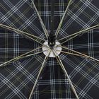 Polyester Mens Umbrella, , small