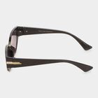 Women's Plastic Clear Glass Cat Eye/Butterfly Sunglasses, , small image number null