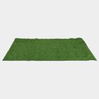 Green Polyester Carpet, , small image number null