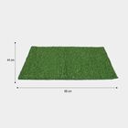 Anti-Skid Green Polypropylene Door Mat, , small image number null