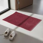 Anti-SKId Maroon Rubber Door Mat, , small image number null