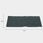 Anti-SKId Blue Polypropylene Door Mat, , small image number null