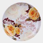 Melamine Full Plate, 30 cm Dia., , small image number null
