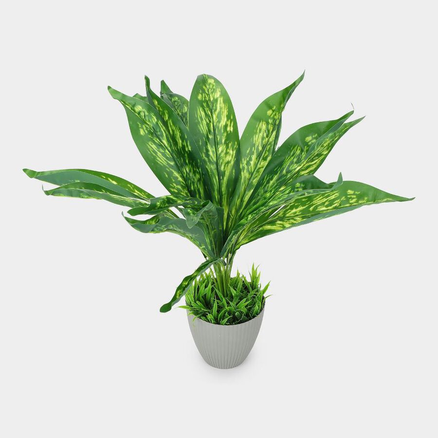 Plastic Artifical Plant, , large
