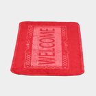 Multicolour Polyester Door Mat, , small image number null