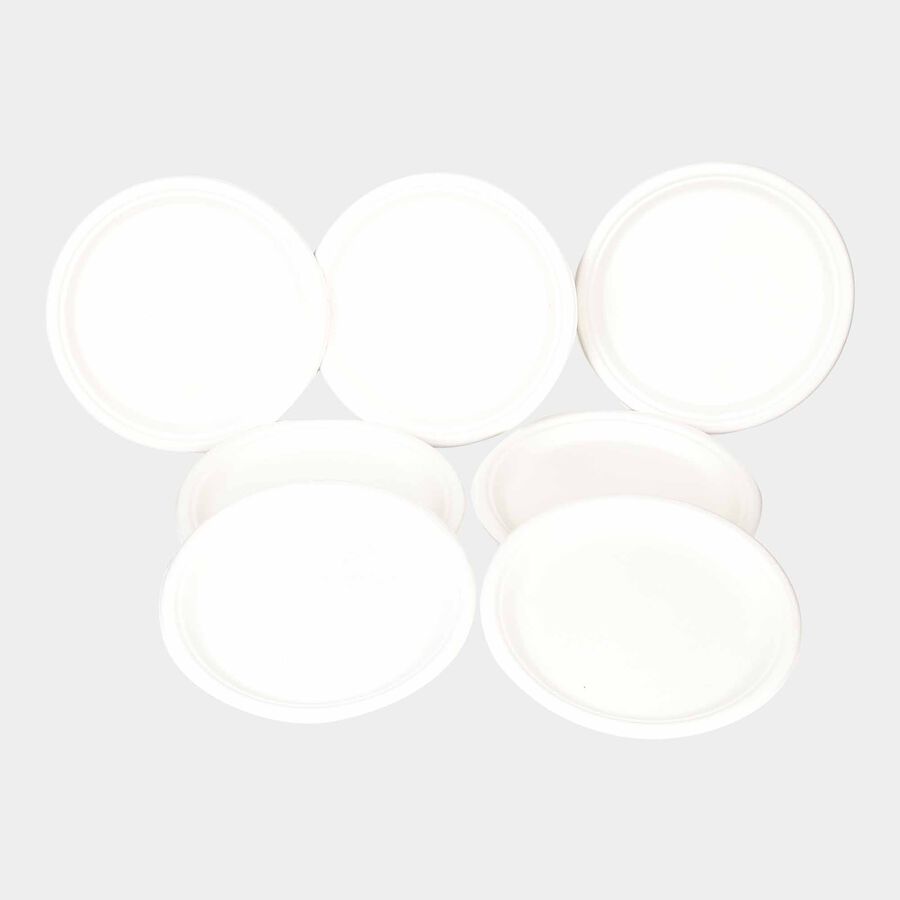 Disposable Full Plate 12Pcs., , large image number null